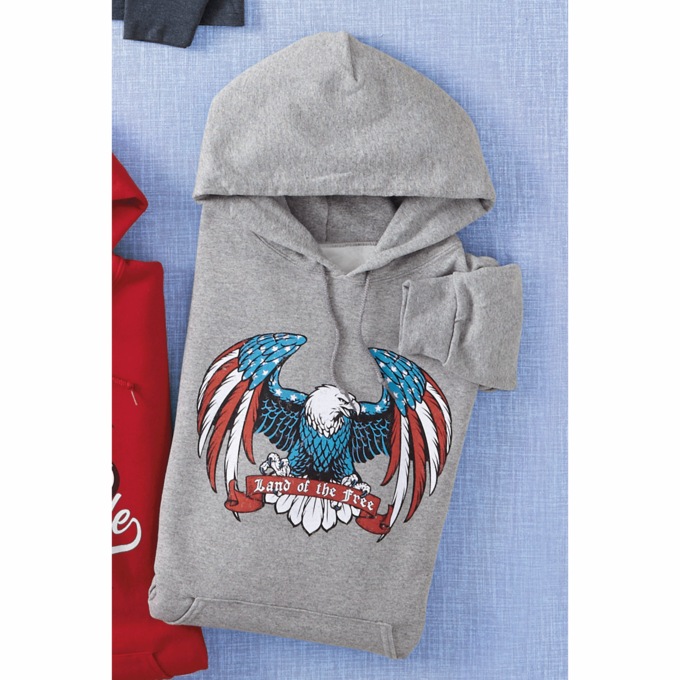 Graphic Fleece Hoodie, , large