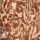 Animal Print