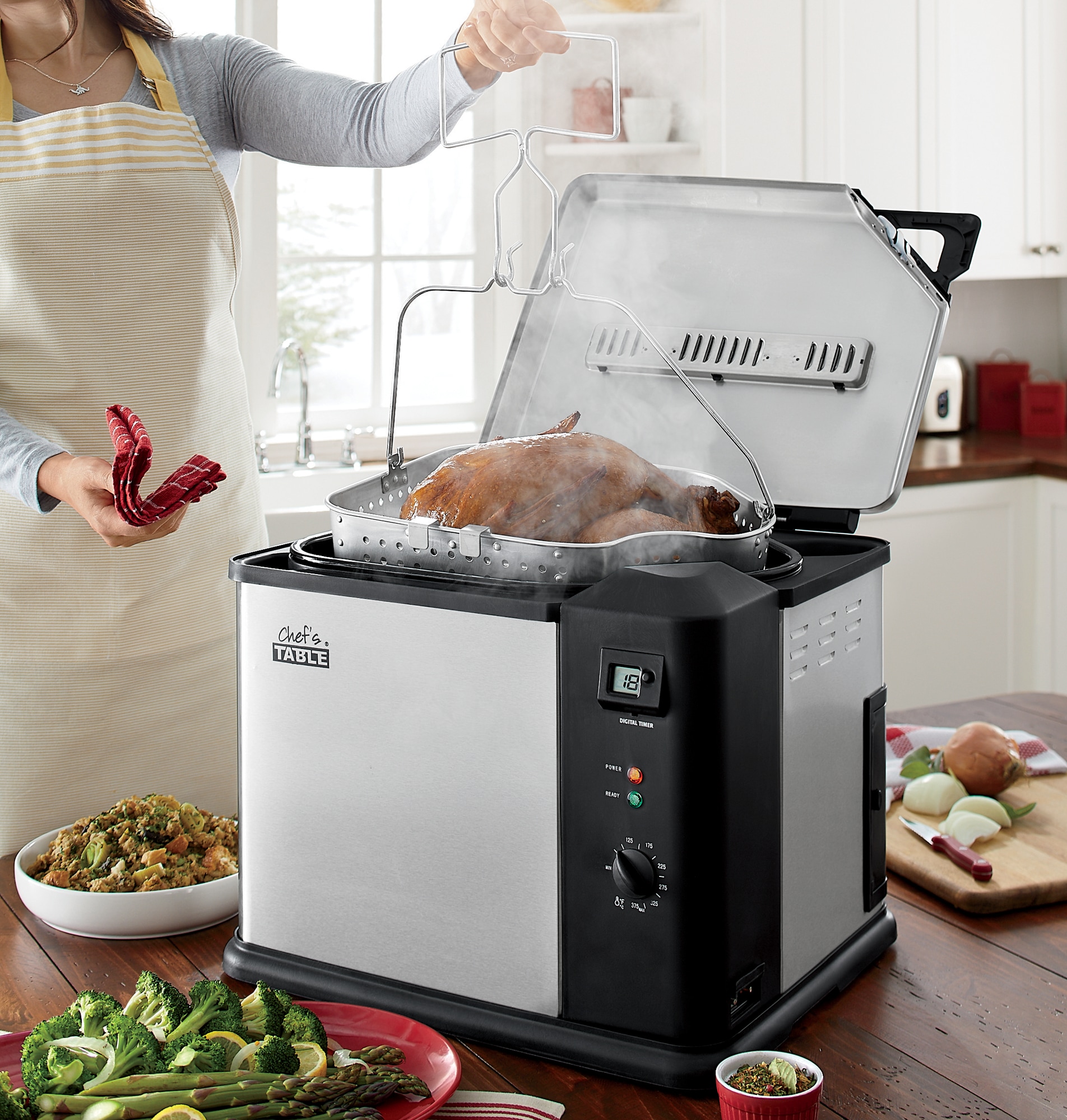 countertop turkey fryer