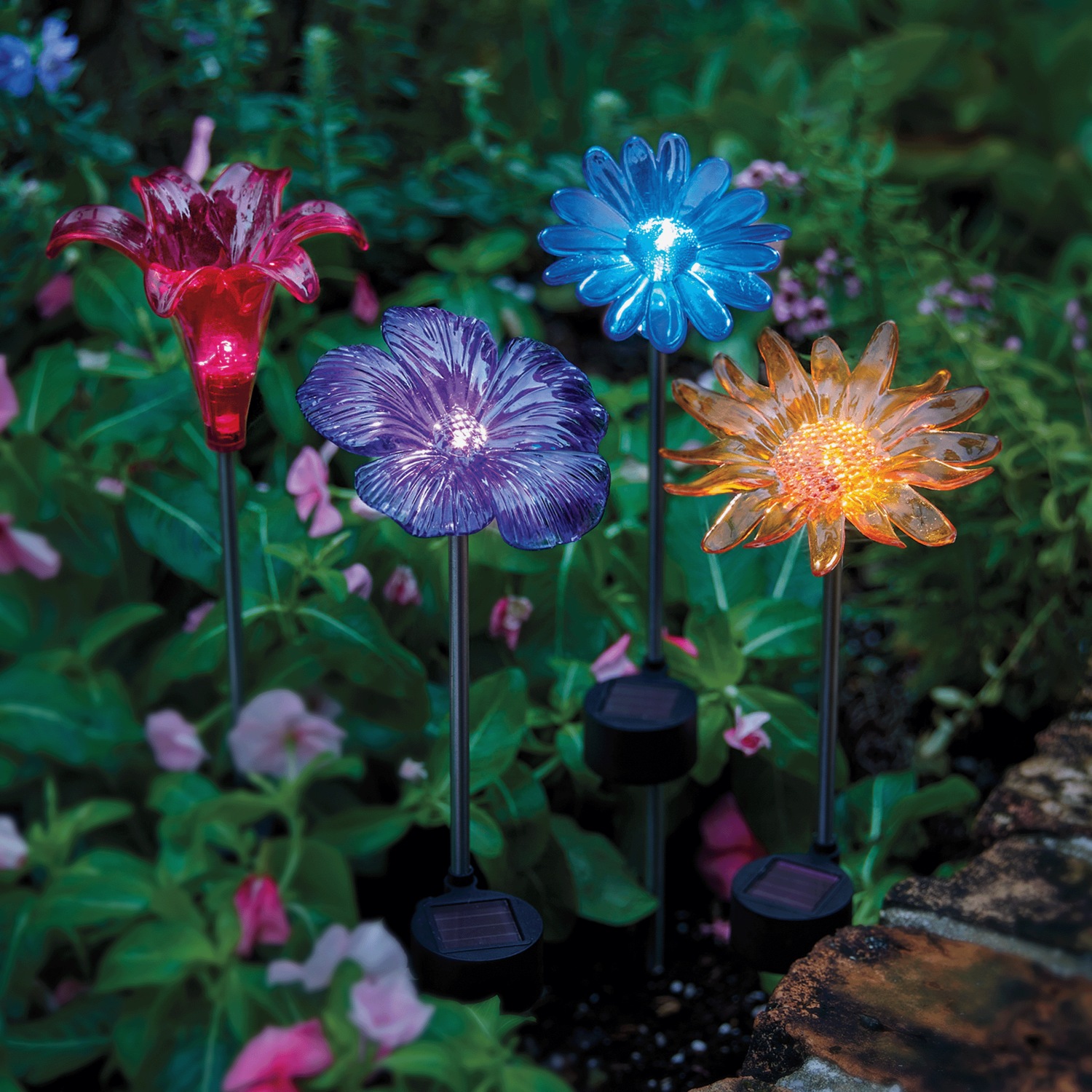 Large solar flowers new arrivals