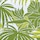 Green Palms