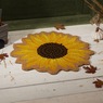 Sunflower Shaped Indoor/outdoor Coir Mat - 24" Diam., , large
