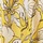 Yellow Floral