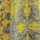 Yellow Silver