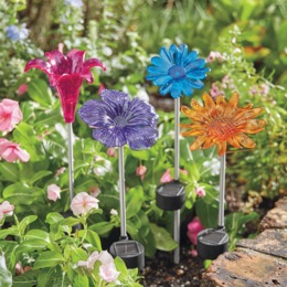 Set of 4 Solar Flowers, , large