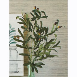 Olive Branch Stem, , large