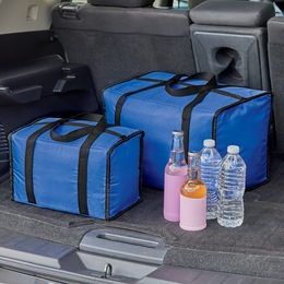 Set of 2 Insulated Totes, , large