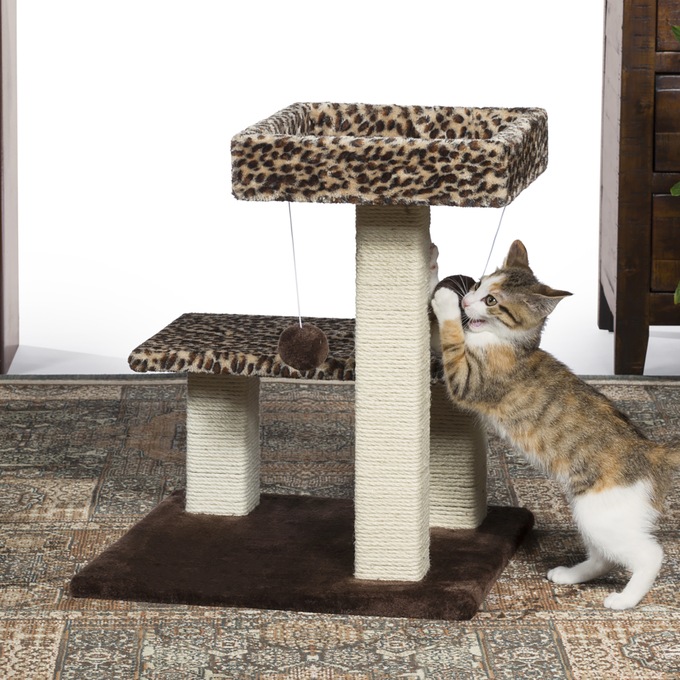Prevue Pet Products Leopard Terrace Montgomery Ward