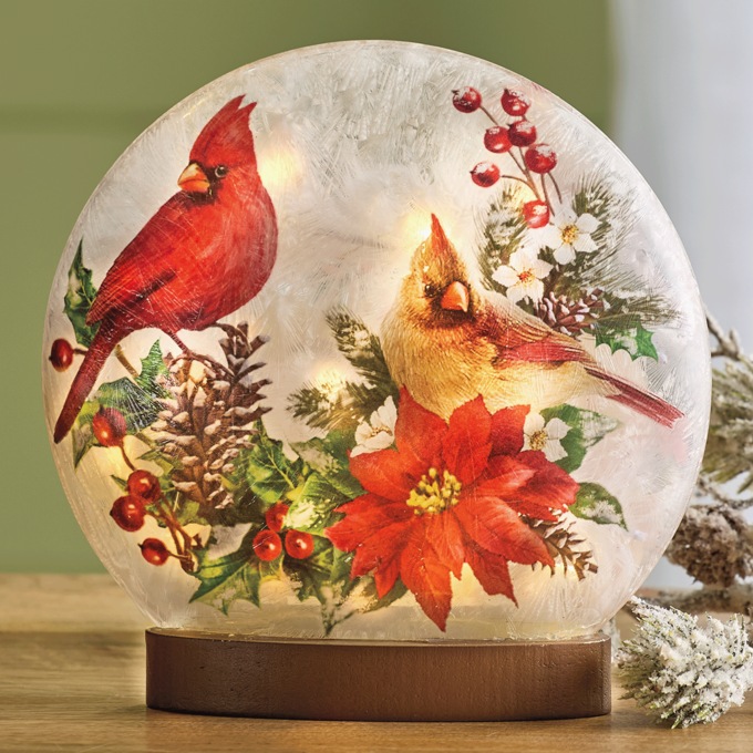 Reversible Harvest/Christmas LED Cardinal Globe, Multi, large