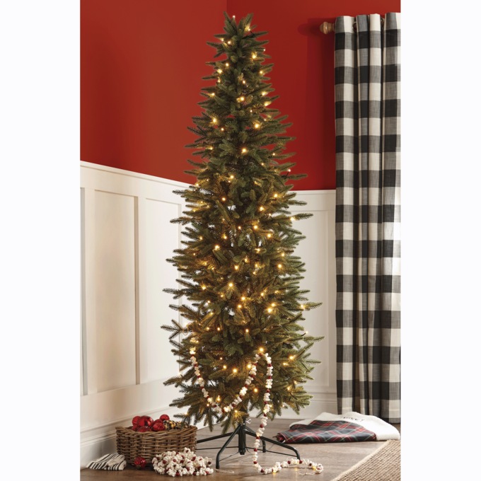 Lit Pencil Fir Tree, , large