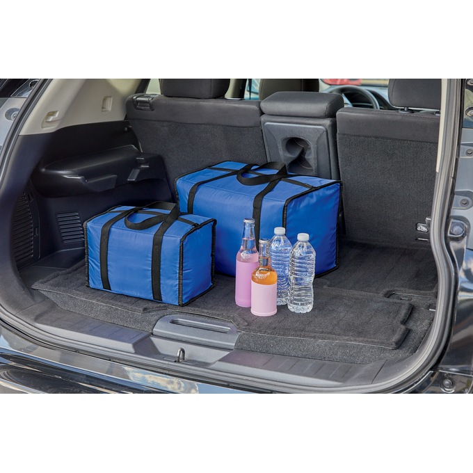 Set of 2 Insulated Totes, , large