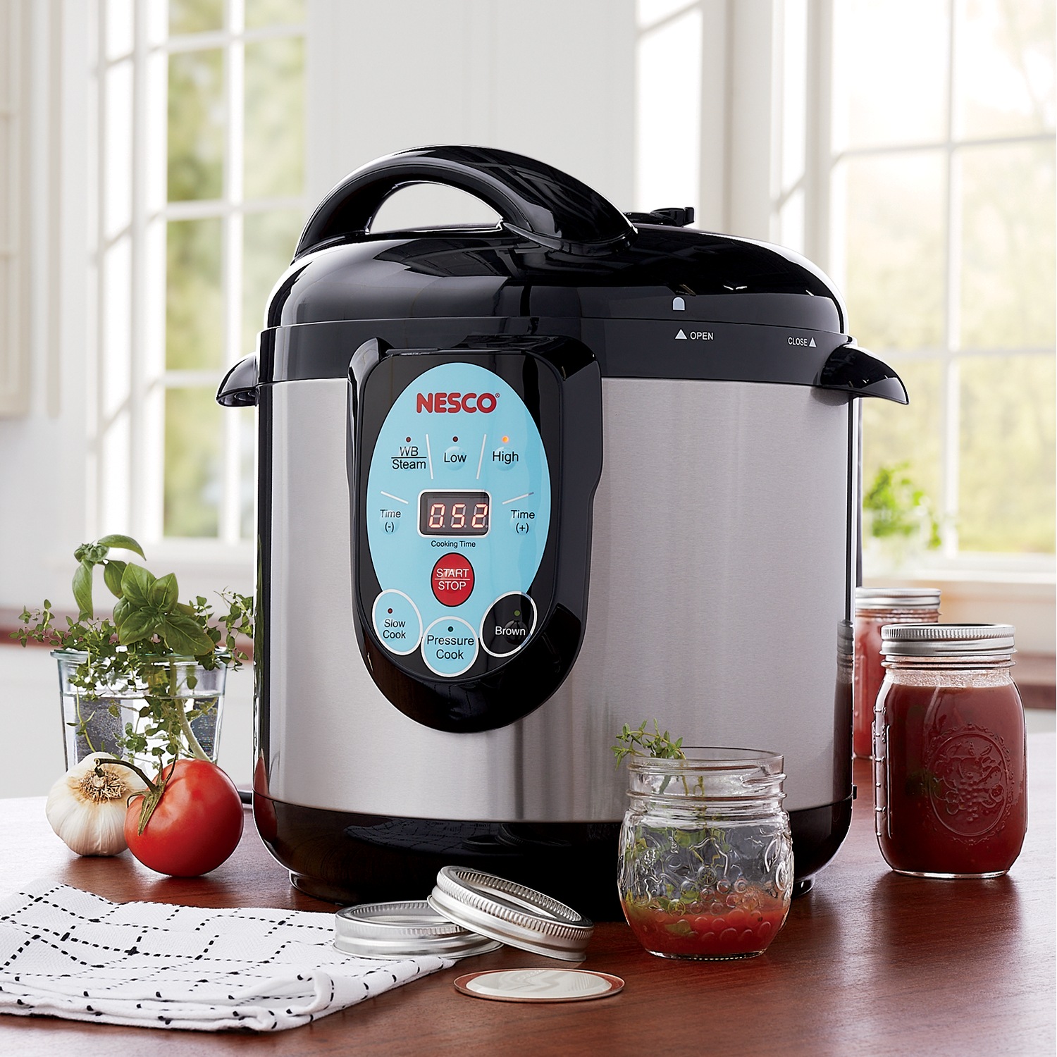 Using the Carey electric canner 