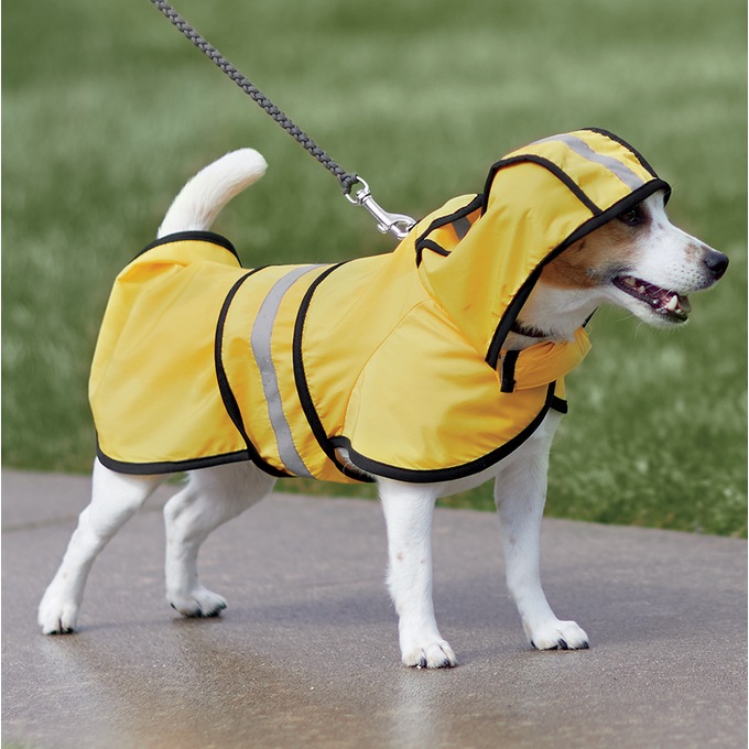 Pet Raincoat, , large