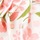 Pink Cherry