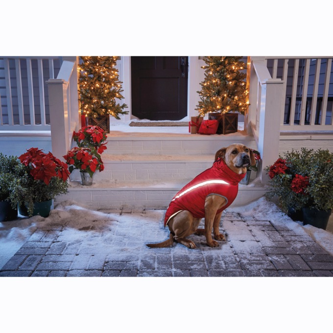 Reflective Dog Winter Jacket, , large