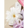 Big Flower Slide, , large
