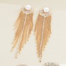 Crystal Fringe Goldtone Earrings, , large