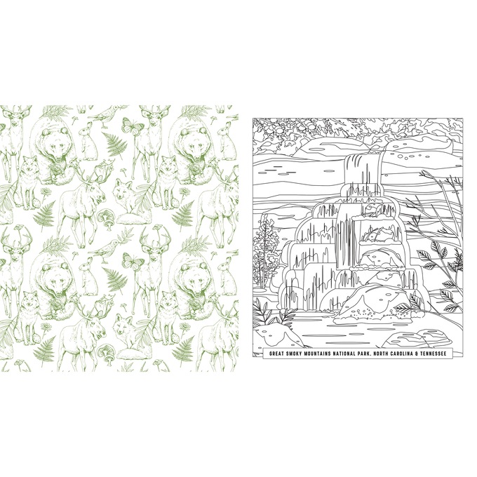 National Park Coloring Book, , large