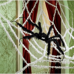 Spider and Web, , large