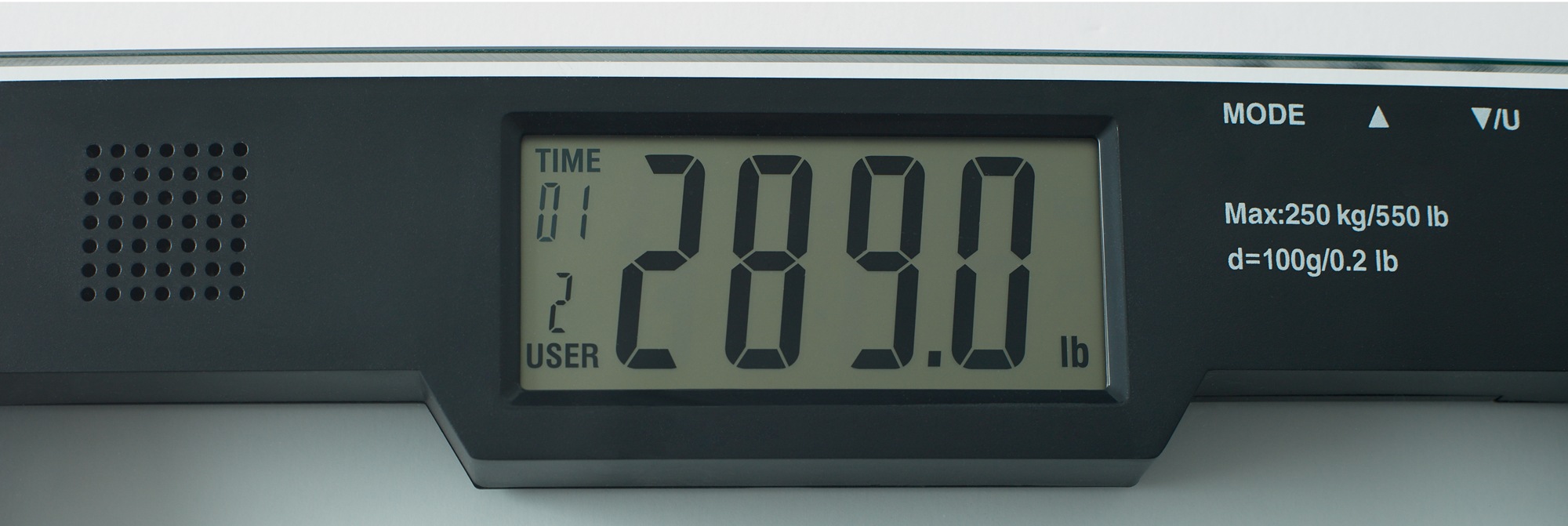 talking scale