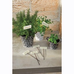 Set of 6 Herb Picks, , large