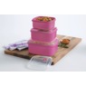 6-Piece Plastic BPA-Free Food Storage Set, Berry Bliss, large