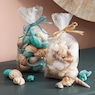 Set of 2 Coastal Shell Fillers, , large