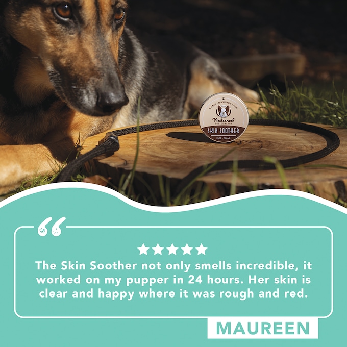 Natural Dog Company 2-oz. Skin Soother, , large
