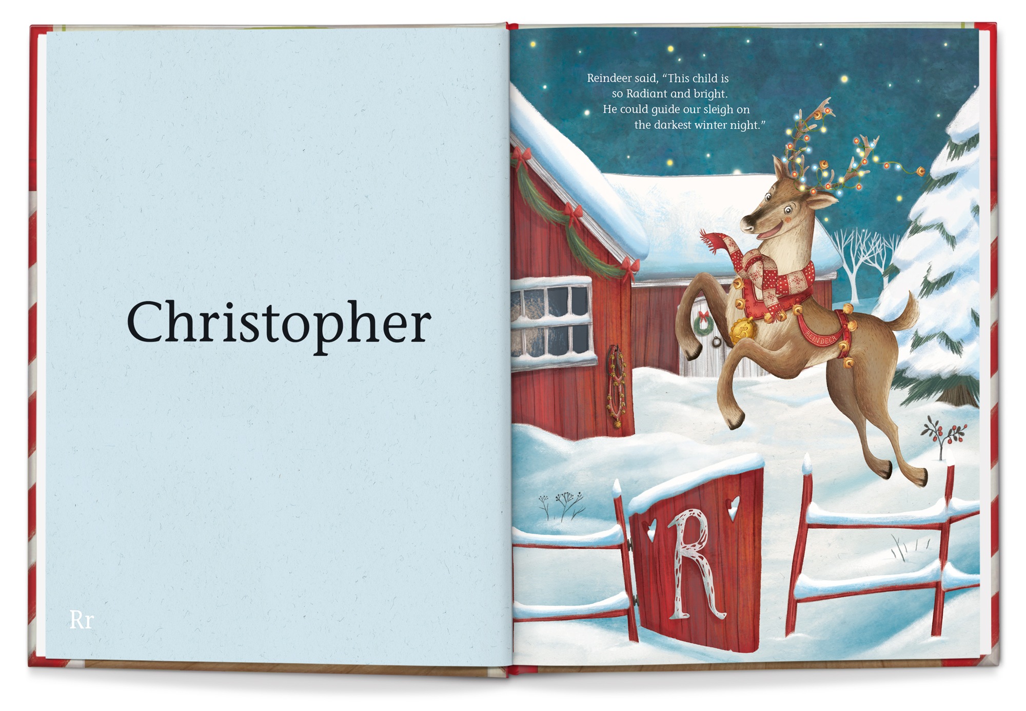 My Very Own Christmas Personalized Book, , large