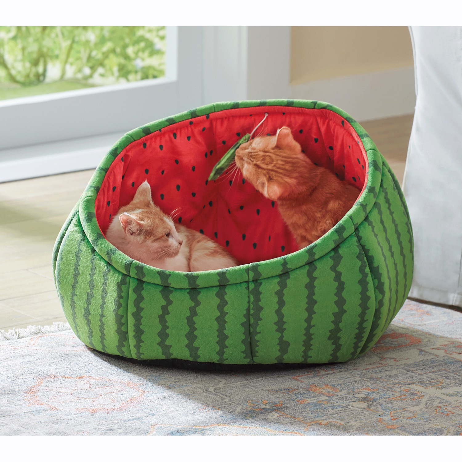 Watermelon Pet Bed Montgomery Ward