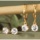 White Topaz