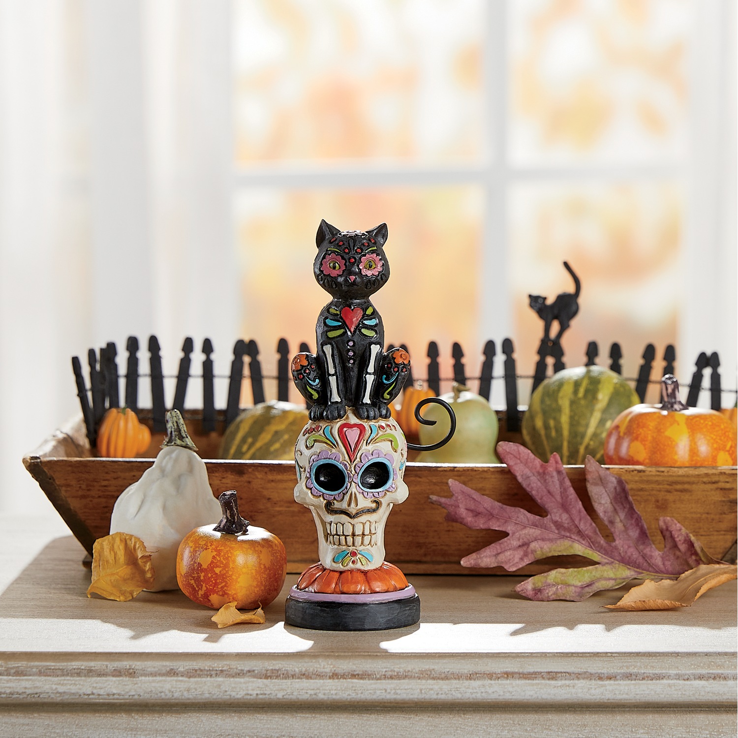 jim shore black cat on pumpkin