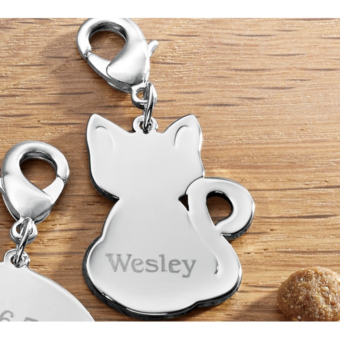 Personalized Pet Tag, , large