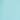 Aqua Bold Floral