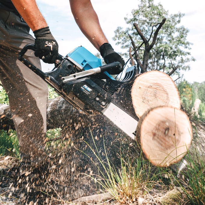 Pulsar 2-Stroke Chainsaw, Blue, large