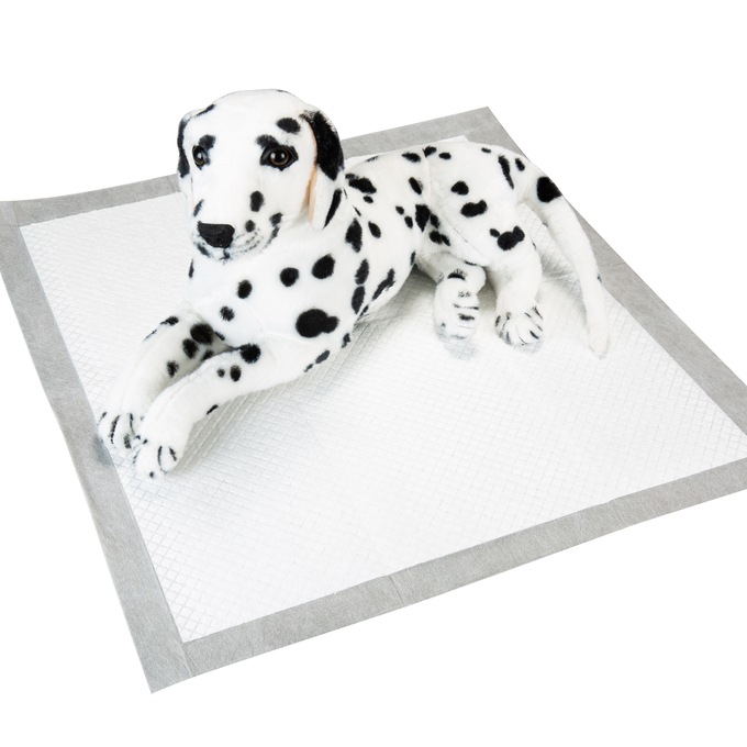 Ultra Absorbent Training Pads, , large
