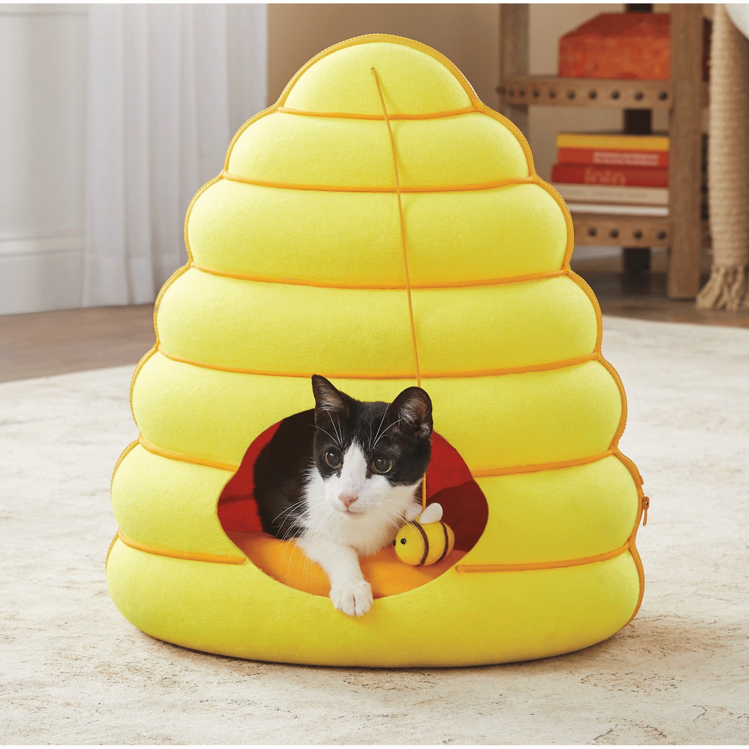 Honeycomb cat bed clearance