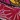 Spring Step Trippe Slingback, Fuchsia Multi, swatch
