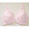 Lace Bra, , large