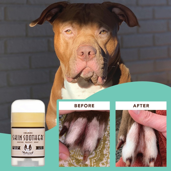 Organic skin shop soother for dogs