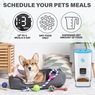 Paw Perfect Automatic Feeder, , large