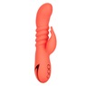 California Dreaming® Thrusting Orange County Cutie, , large