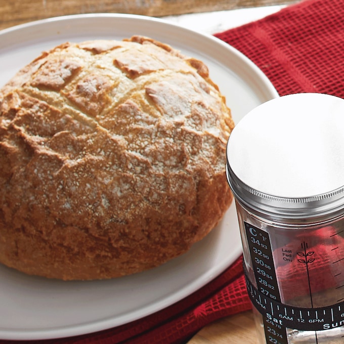 Nordic Ware Simply Sourdough Complete Bread Baking Kit, , large