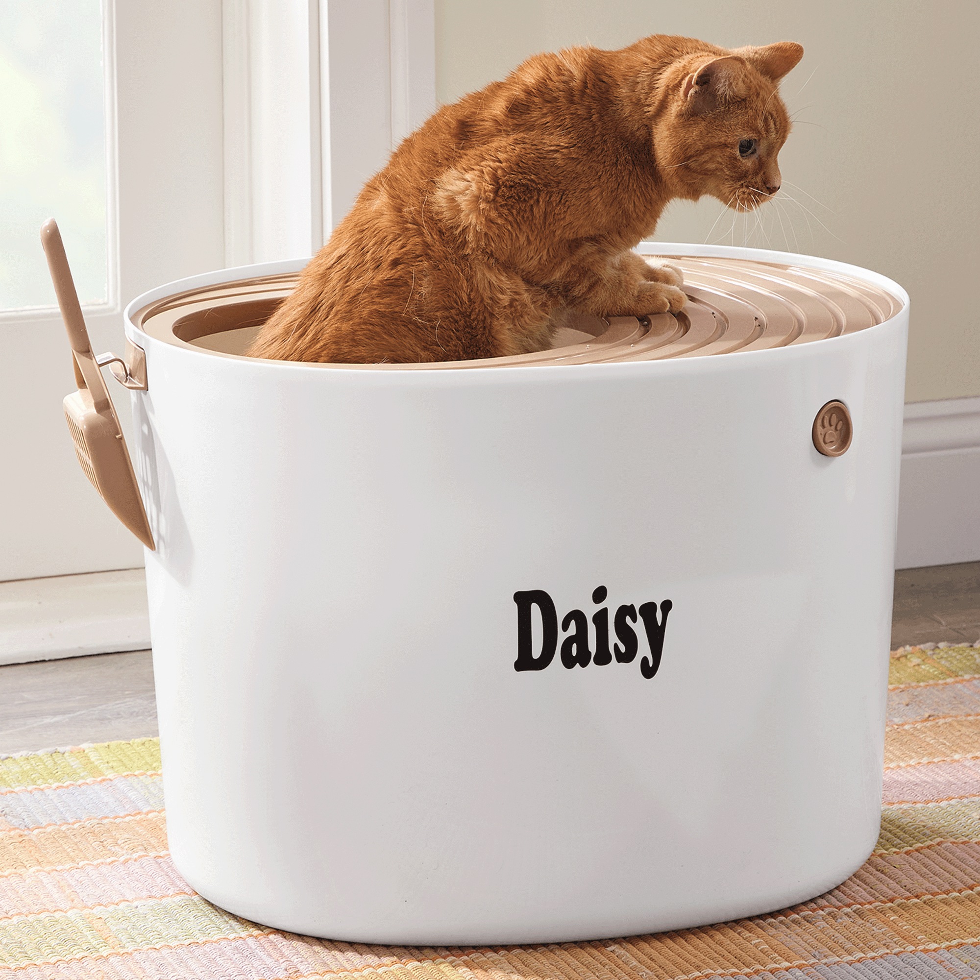 Iris Top-Entry Litter Box, White, large