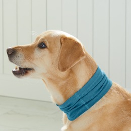 Set of 3 Cooling Pet Bandanas, , large