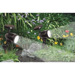 Solar Spotlight, , large