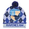 Harry Potter House Winter Hat, , large
