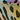 Women's MUK LUKS Sea Star Slide, Neon Leopard, swatch