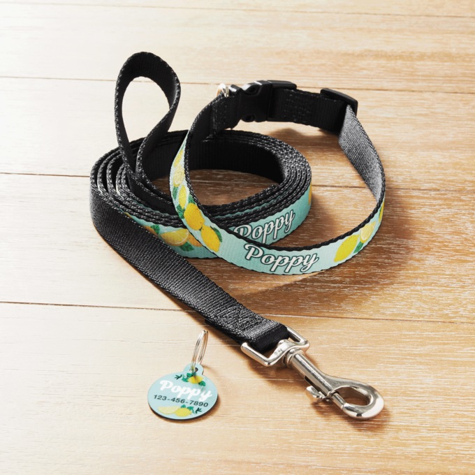 Personalized Dog Accessories, , large