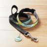 Personalized Dog Accessories, , large
